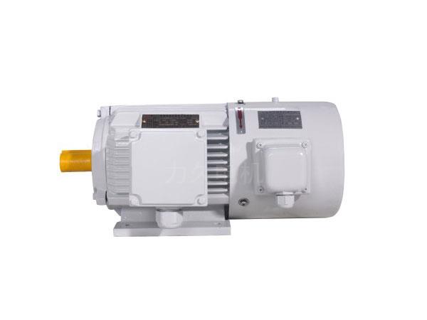 YVP系列變頻調(diào)速三相異步電動機(jī)