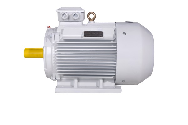 YDT系列風(fēng)機(jī)泵類專用變極多速三相異步電動機(jī)